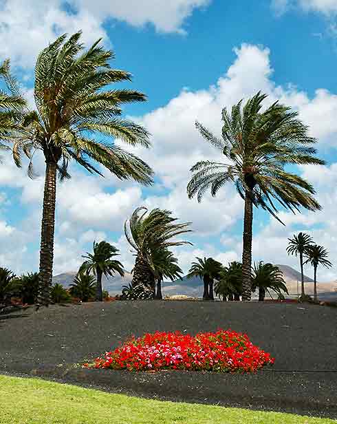 Lanzarote