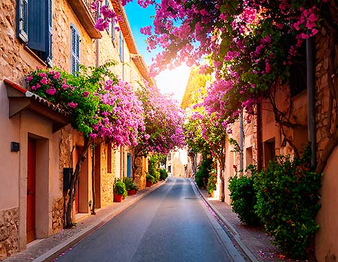 Vue pittoresque de La Ciotat