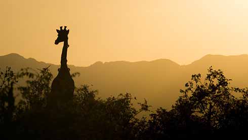 Les beautés d’Afrique du Sud